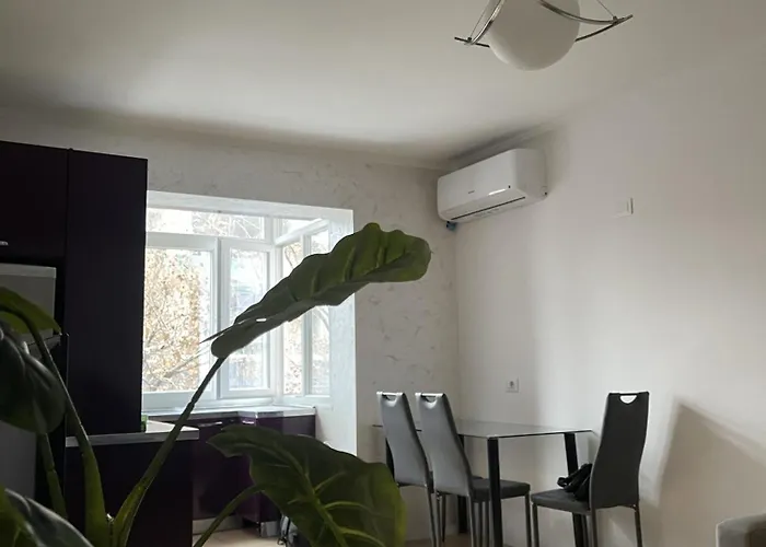 Cozy At Tirana's Center * ティラナ